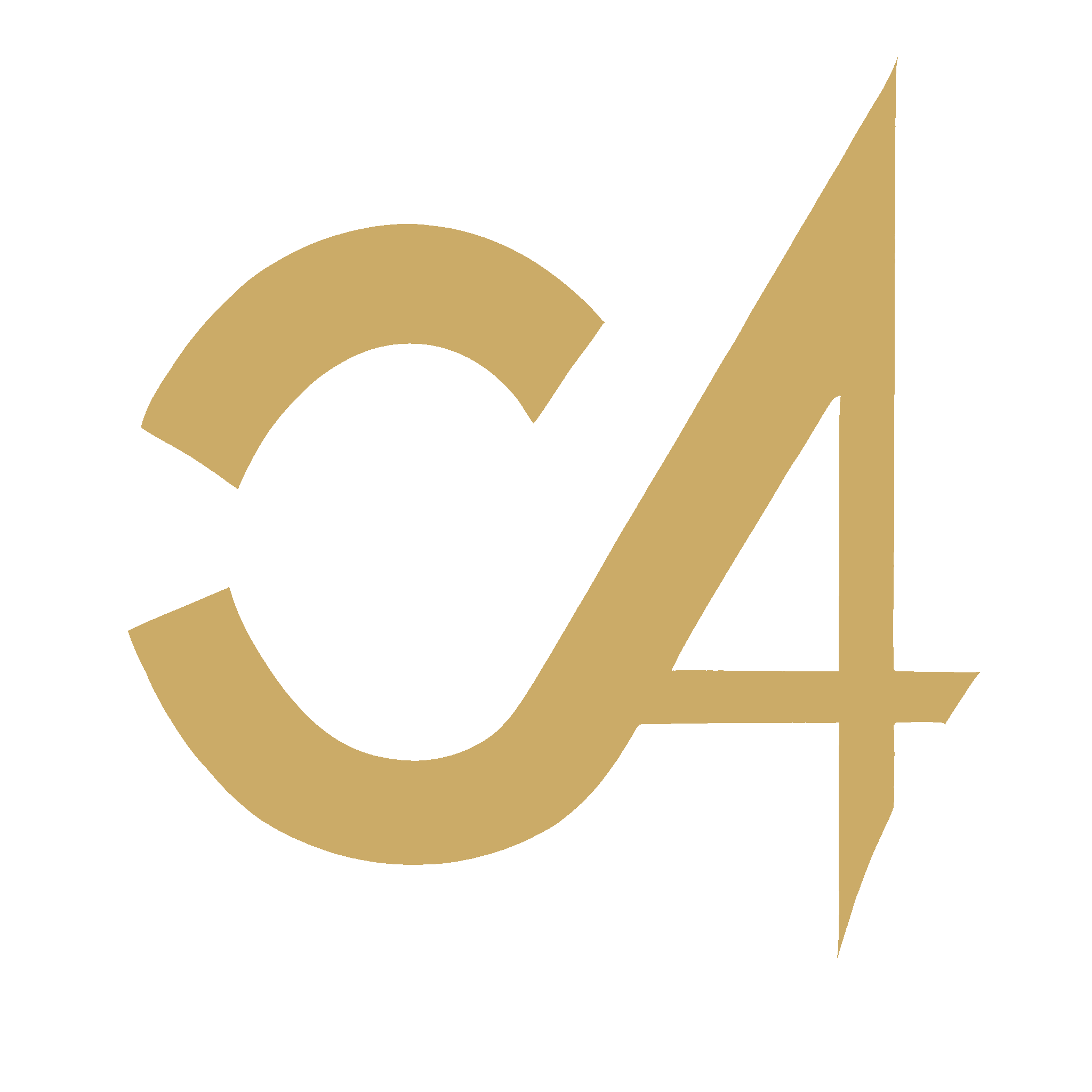 Climbing Advantage Logo